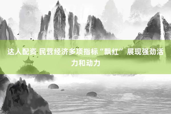 达人配资 民营经济多项指标“飘红” 展现强劲活力和动力