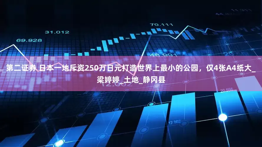 第二证券 日本一地斥资250万日元打造世界上最小的公园，仅4张A4纸大_梁婷婷_土地_静冈县