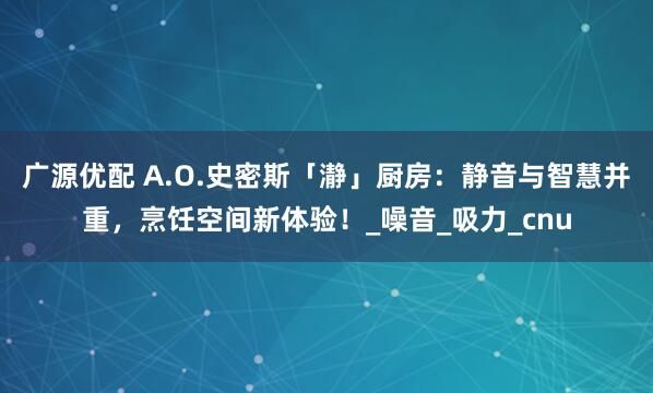 广源优配 A.O.史密斯「瀞」厨房：静音与智慧并重，烹饪空间新体验！_噪音_吸力_cnu