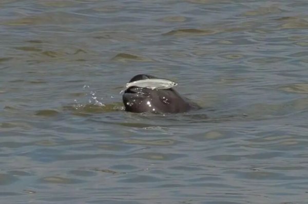 展鵬配资 乾隆的“烂诗”终于有用了……还真帮上科学家忙了