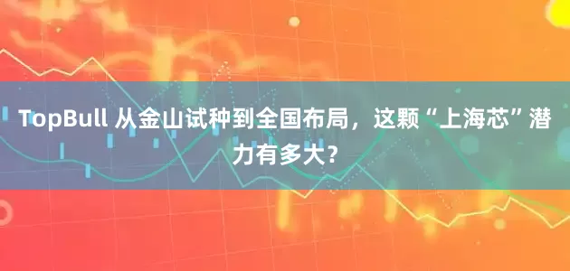 TopBull 从金山试种到全国布局，这颗“上海芯”潜力有多大？